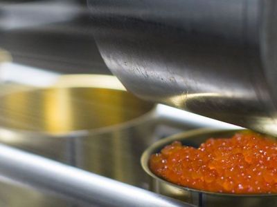 Не указавшего сорт икры продавца оштрафовали на 10 тыс. рублей