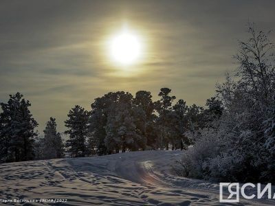 Около двух тонн батареек сдали якутяне в рамках экологической акции
