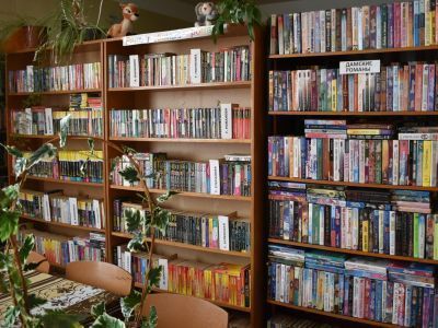 Подгощская сельская библиотека