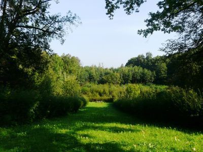 Терраса (каменная) с лестницами, пандусом и гротом