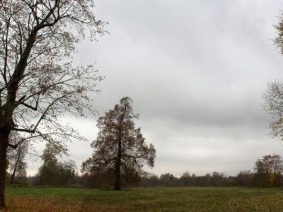 Памятное место, где находилась усадьба «Пустынька», в которой  в 1850-1860-е годы жил и работал писатель Толстой Алексей Константинович