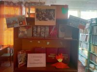 Кошкульская сельская библиотека