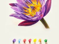 Набор карандашей стираемых цветных Acmeliae 24 цв, картонном футляре