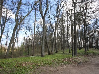 Парк «Железнодорожный»
