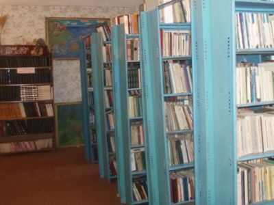 Лисавская сельская библиотека
