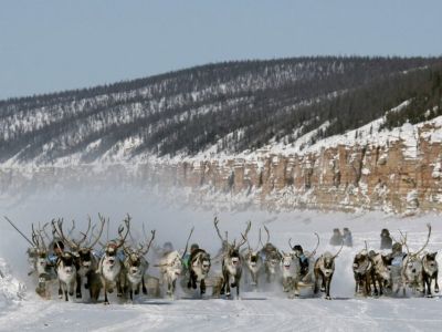 IV съезд оленеводов проведут в Якутске в марте
