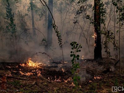 В Якутии за сутки ликвидировали восемь лесных пожаров