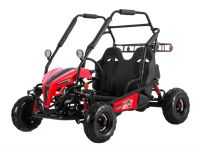 Багги LUCKY DUCK Gokart EVX 200