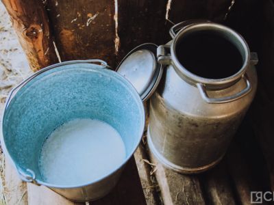 План заготовки молока в Якутии выполнили почти на 70%