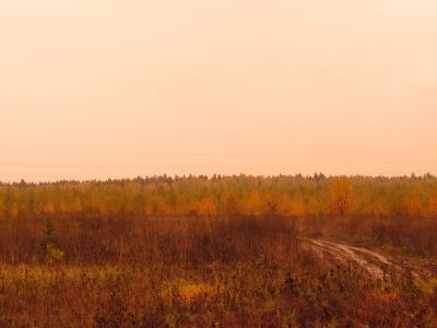 Священная роща