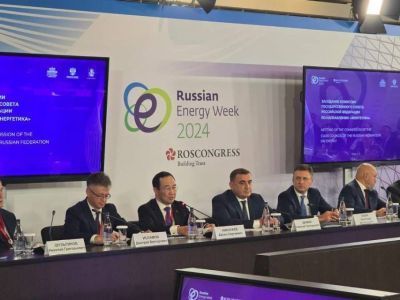 Айсен Николаев: «Реформа электросетевого комплекса должна учитывать особенности регионов»