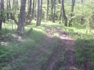 Усадебный парк с прудом