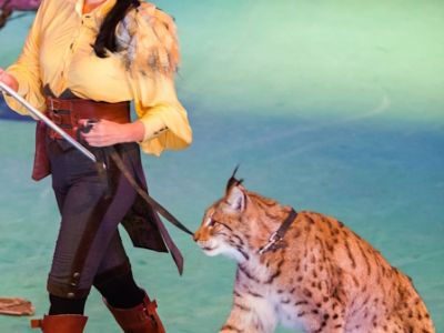 История хрустальной туфельки