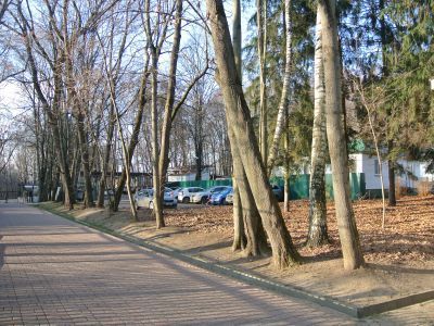 Сады усадьбы