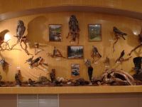 Музей природы р. п. Танхой