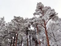 Парк культуры и отдыха г. Вичуги