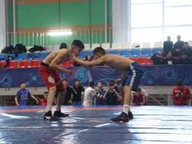 В Усть-Алданском улусе выявили победителей турнира по хапсагаю памяти Иннокентия Халдеева