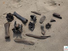 "Золотые Скалы реки Синяя". Синские, Ленские Столбы