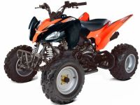 Квадроцикл ABM Scorpion 250