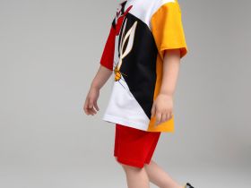 Фуфайка трикотажная для мальчиков (футболка)