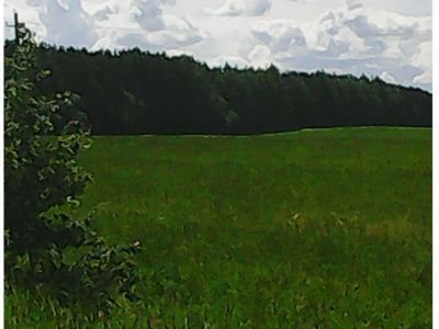 Священная роща
