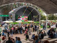 Домодедовский городской парк культуры и отдыха «Ёлочки»