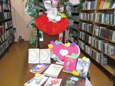 Шалеговская сельская библиотека