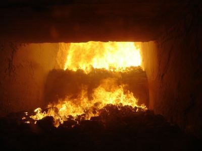 Госдума приняла закон о сжигании мусора