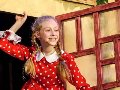 Билеты на Пеппи Длинныйчулок (Детский музыкальный театр юного актёра. Малая сцена) / Театр | Афиша | ИнфоТаймс