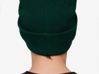 Шапка BASK