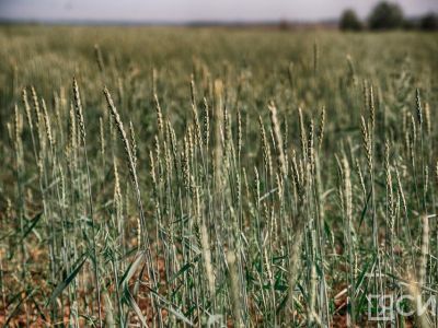 В Якутии выразили готовность сотрудничать с Херсонской областью