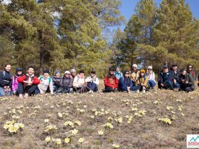 Весеннее пробуждение. Пешая экскурсия по Табагинскому Мысу