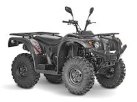 Квадроцикл BALTMOTORS Striker 400 EFI