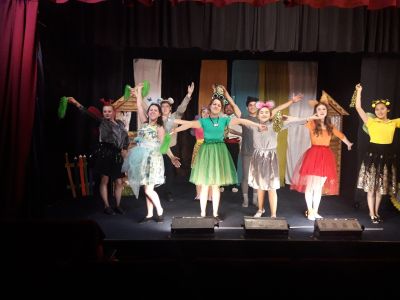 Билеты на Теремок (Театр Ермашова) / Театр | Афиша | ИнфоТаймс