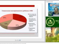 Международный вебинар "Организация взаимодействия детей с ОВЗ в группах инклюзивного образования и воспитания в условиях ДОО"