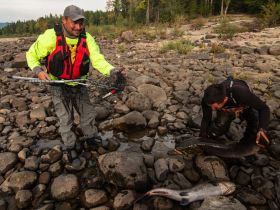 Рыбалка на трофейного тайменя на реке Гонам