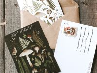 Открытка Дворникова А. "Лесные сокровища" тёмная