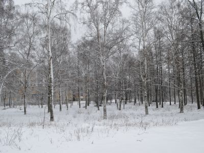 Сад регулярный (верхний)