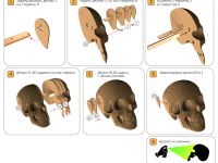 Череп "Роджер"