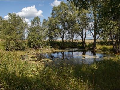 Пруд скитский