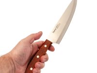 Набор из 5 кухонных ножей Fissman Maximus в деревянной подставке
