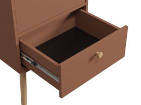 Распашной шкаф Торвалль 1.1-50x185 Терракотовый