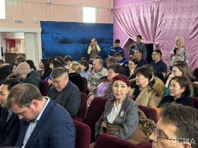 «Дрова на вес золота»: жители села Усть-Майского района требуют подключить дома к центральному отоплению