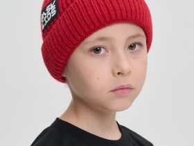 Шапки BASK kids