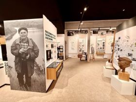 Владимир Соловьёв: воронежская журналистика бережно хранит память о своём выдающемся земляке