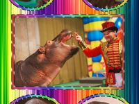 Театр «Уголок дедушки Дурова»