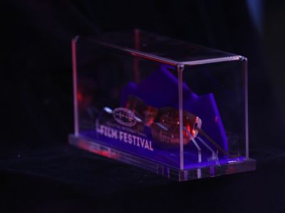 Фильмы из США, Бразилии и других стран заявлены в основном конкурсе ЯМКФ-2025