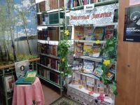 Библиотека с. Малышево