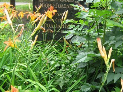 Могила Голодного Михаила Семеновича (1903-1949)