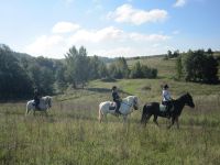 Музей-усадьба Л. Н. Толстого «Ясная Поляна»